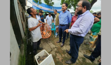পিরানহা মাছ বিক্রির অভিযোগে ৫ হাজার টাকা জরিমানা