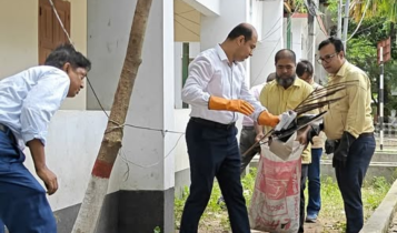 সদরে ১০০ প্রাথমিক বিদ্যালয়ে চারা বিতরণ, পরিচ্ছন্নতা অভিযান