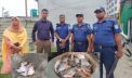 সোনারগাঁয়ে ২৫ কেজি নিষিদ্ধ পিরানহা মাছ জব্দ সোনারগাঁয়ে ২৫ কেজি নিষিদ্ধ পিরানহা মাছ জব্দ