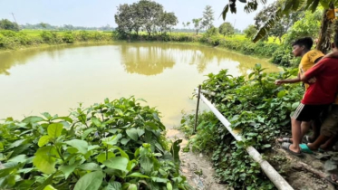 আড়াইহাজারে নানাবাড়ির পুকুরে ডুবে মারা গেছে শিশু দুই ভাই