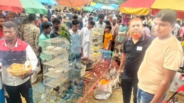 ফতুল্লায় বন্যপাখি উদ্ধার করে অবমুক্ত