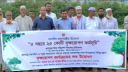 নারায়ণগঞ্জ সদরে বৃক্ষরোপণ কর্মসূচির উদ্বোধন নারায়ণগঞ্জ সদরে বৃক্ষরোপণ কর্মসূচির উদ্বোধন