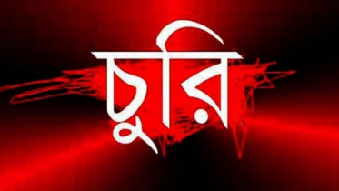 সাংবাদিক রাসেল আদিত্যের বাসায় চুরি