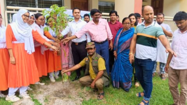 রূপগঞ্জে বৃক্ষরোপণ কর্মসূচির উদ্বোধন