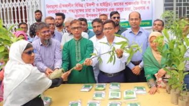 দেশীয় ফলের প্রতি নির্ভরতা বাড়লে দেশের টাকা দেশেই থাকবে: মামুন মাহমুদ