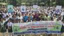 মর্গ্যান গার্লস স্কুলে র‌্যালি ও বৃক্ষরোপণ কর্মসূচি