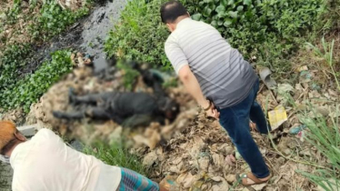 সিদ্ধিরগঞ্জে খাল থেকে অর্ধগলিত মরদেহ উদ্ধার