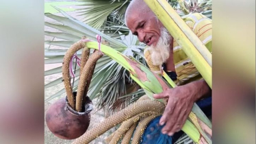 নারায়ণগঞ্জে “তাল রস বাগান”-এর বিশেষ আয়োজন নারায়ণগঞ্জে “তাল রস বাগান”-এর বিশেষ আয়োজন