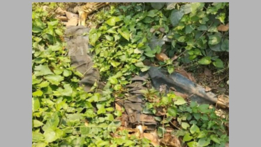 সোনারগাঁয়ে ডোবার পাশে অজ্ঞাত কিশোরের কঙ্কাল উদ্ধার সোনারগাঁয়ে ডোবার পাশে অজ্ঞাত কিশোরের কঙ্কাল উদ্ধার