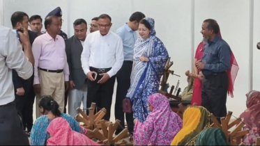 রূপগঞ্জে জামদানী ভিলেজ পরিদর্শনে বস্ত্র ও পাট প্রতিমন্ত্রী শরিফুল