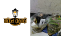 ২২ নম্বর ওয়ার্ডে নিয়মিত ময়লা অপসারণ না করার অভিযোগ, অবিচল রাজবাড়ীর ক্ষোভ ২২ নম্বর ওয়ার্ডে নিয়মিত ময়লা অপসারণ না করার অভিযোগ, অবিচল রাজবাড়ীর ক্ষোভ