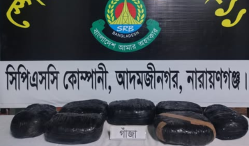 সোনারগাঁয়ে ঝোপ থেকে ১৪ কেজি গাঁজা উদ্ধার