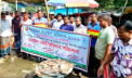 মাছের আড়ত-বাজারে অভিযান, ইলিশ-পিরানহা জব্দ মাছের আড়ত-বাজারে অভিযান, ইলিশ-পিরানহা জব্দ