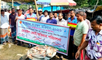 মাছের আড়ত-বাজারে অভিযান, ইলিশ-পিরানহা জব্দ মাছের আড়ত-বাজারে অভিযান, ইলিশ-পিরানহা জব্দ
