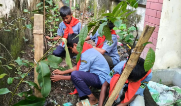 ডেঙ্গু প্রতিরোধে সদরের ১২০ প্রাথমিক বিদ্যালয়ে পরিচ্ছন্নতা অভিযান ডেঙ্গু প্রতিরোধে সদরের ১২০ প্রাথমিক বিদ্যালয়ে পরিচ্ছন্নতা অভিযান