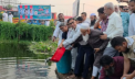 সিদ্ধিরগঞ্জে মাছের পোনা অবমুক্ত ও বৃক্ষরোপণ করলেন মামুন মাহমুদ সিদ্ধিরগঞ্জে মাছের পোনা অবমুক্ত ও বৃক্ষরোপণ করলেন মামুন মাহমুদ
